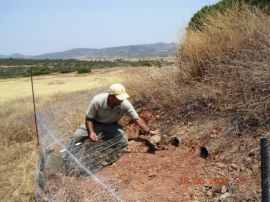 Explotaciones cinegeticas de caza menor