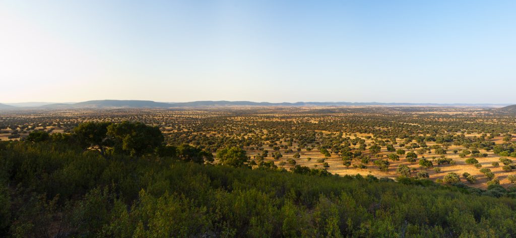 Gestion integral de fincas