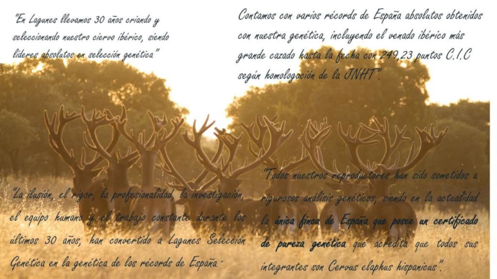 presentacion lagunes